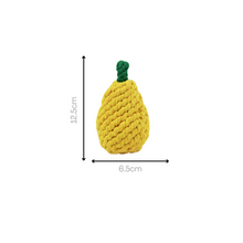 Fruity Delights Artisan Rope Toys