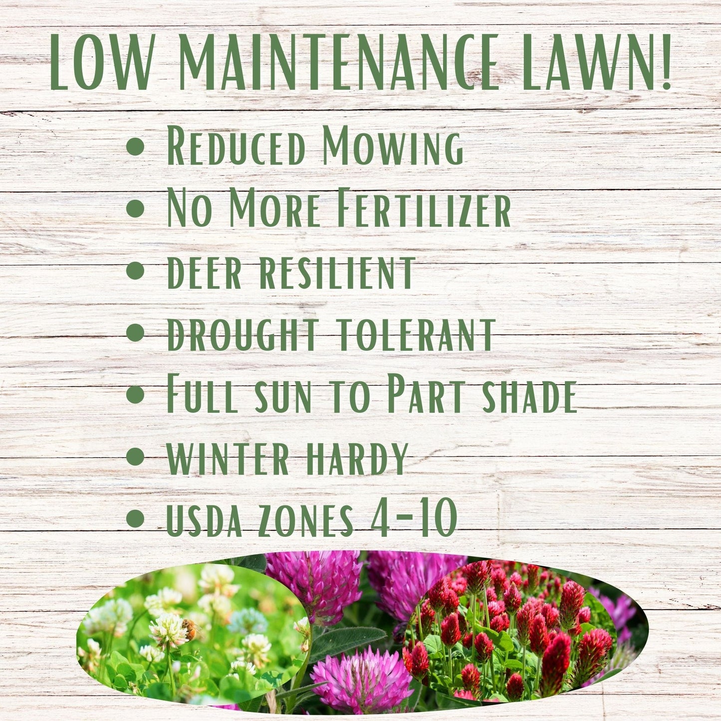 TRI-Color Clover + Mow Less Grass Seed