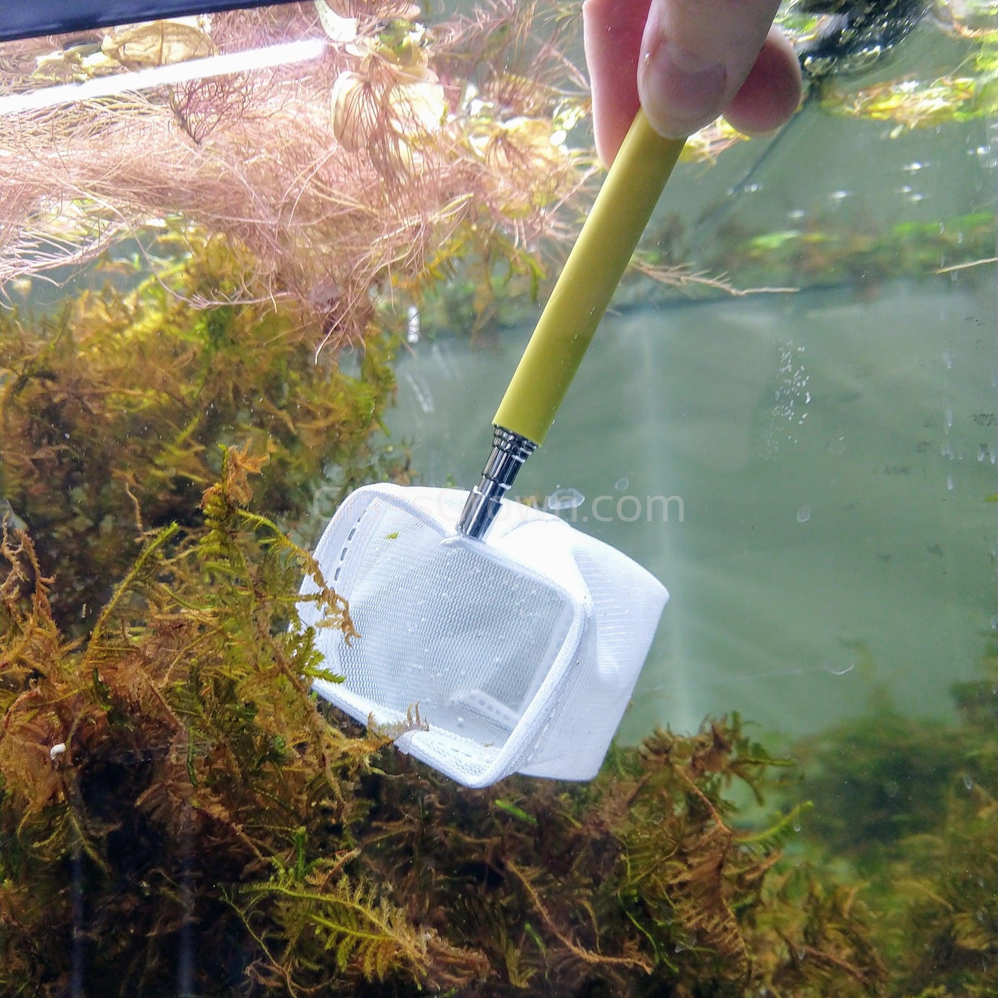 Telescoping Nano Mesh Net
