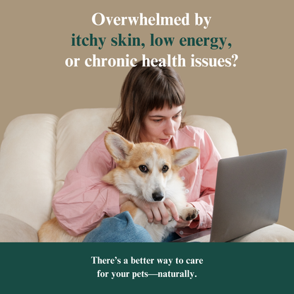 Whole Pet Wellness Academy: The Pet Parent Holistic Health Toolkit