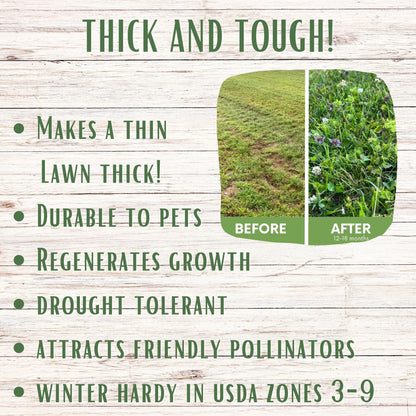 Thick Bee Lawn Seed Kit