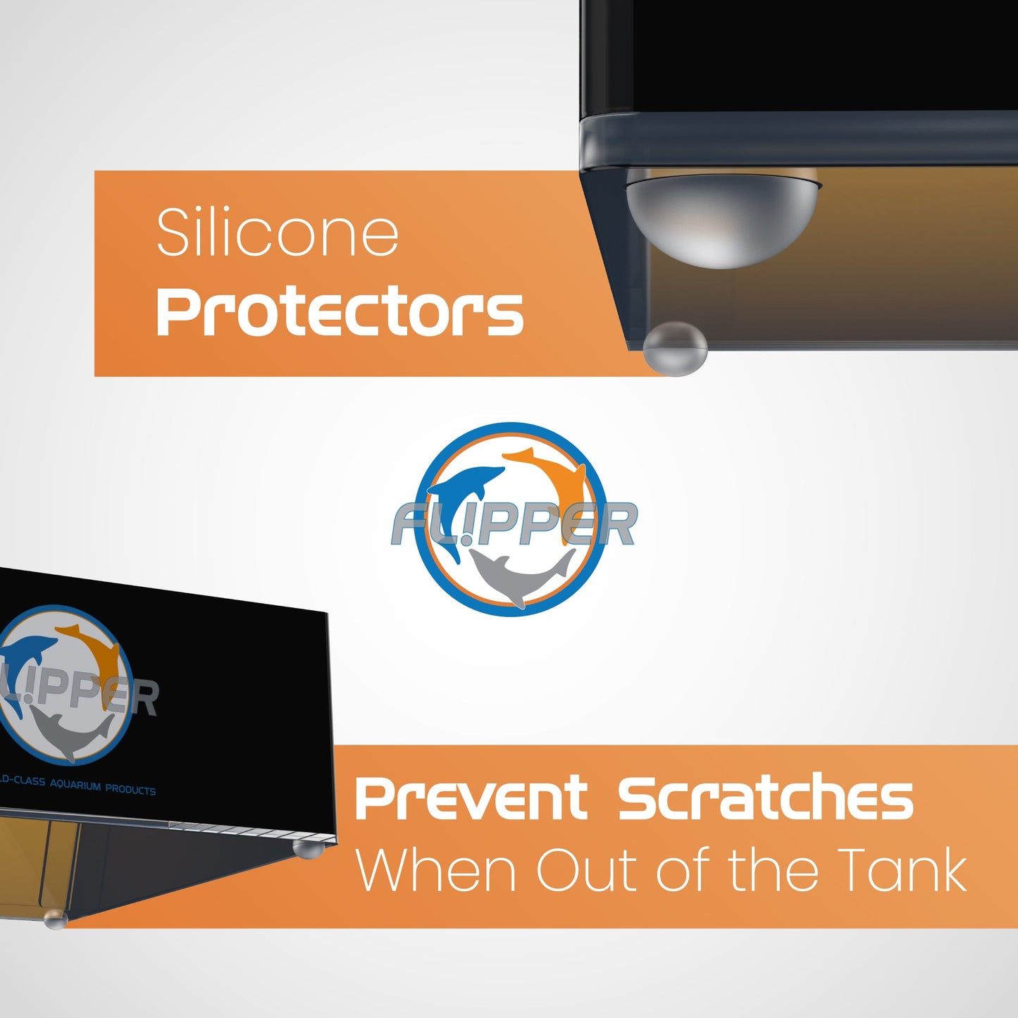 Top Down Viewer Clownfish 8 Panel