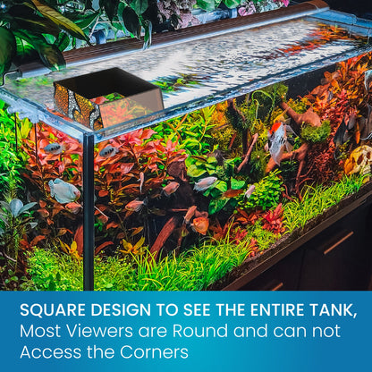 Top Down Viewer Clownfish 8 Panel