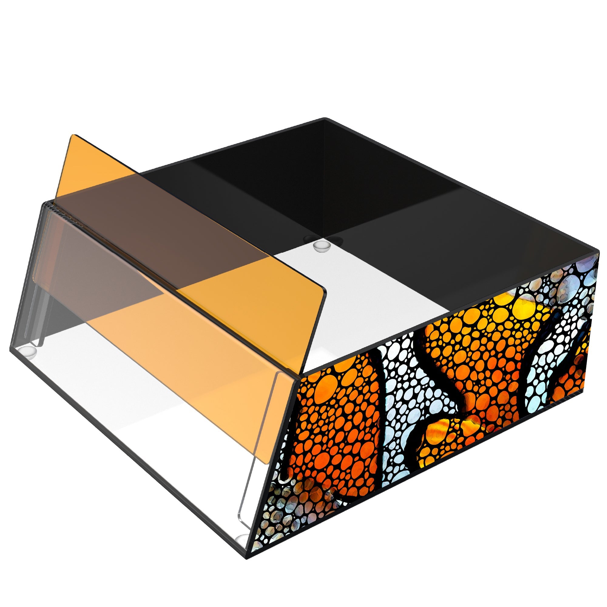 Top Down Viewer Clownfish 8 Panel