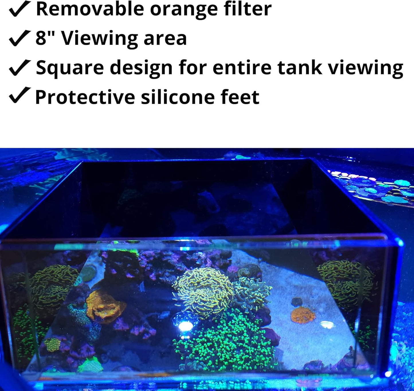 Top Down Viewer Zoa 8 Panel