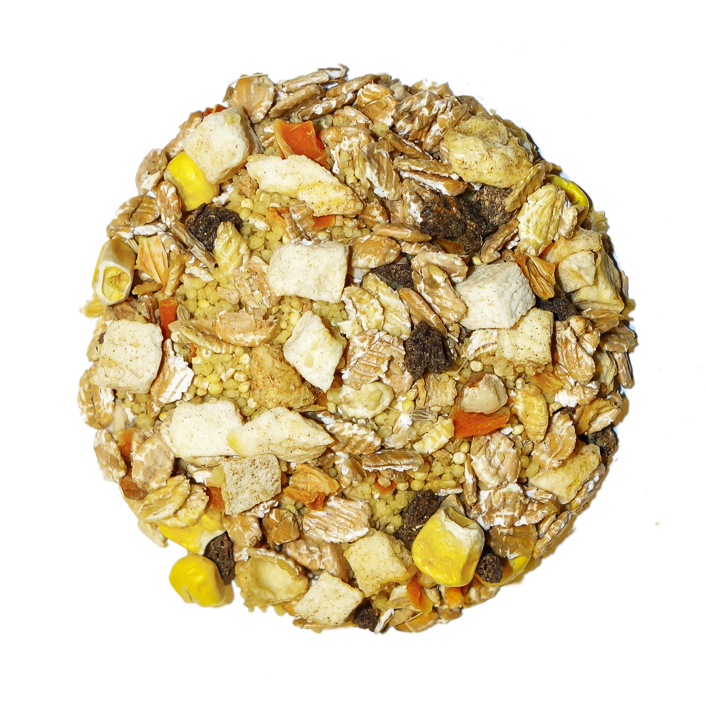 Tropical Feast On The Fly