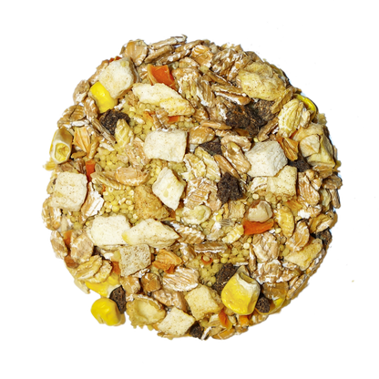 Tropical Feast On The Fly