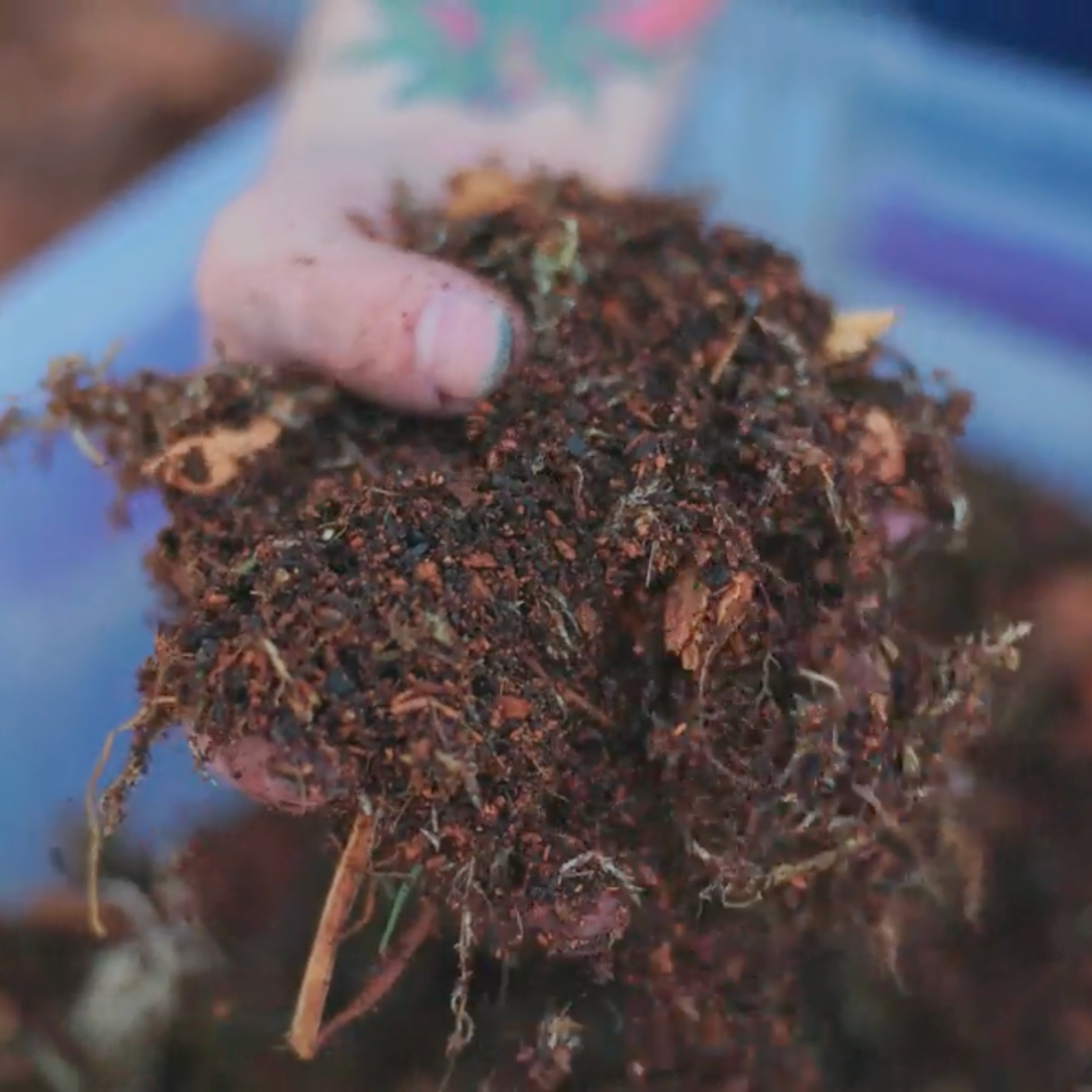 Tropicalbase Terrarium Mix Bioactive Ready To Use