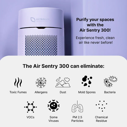 Air Sentry 300