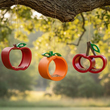 ADG42 Fruit Collection Hanging Bird Feeders