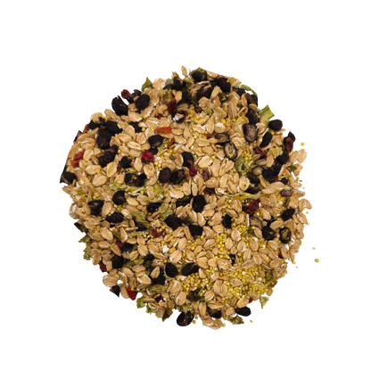 Cajun Bean - Feast on the Fly