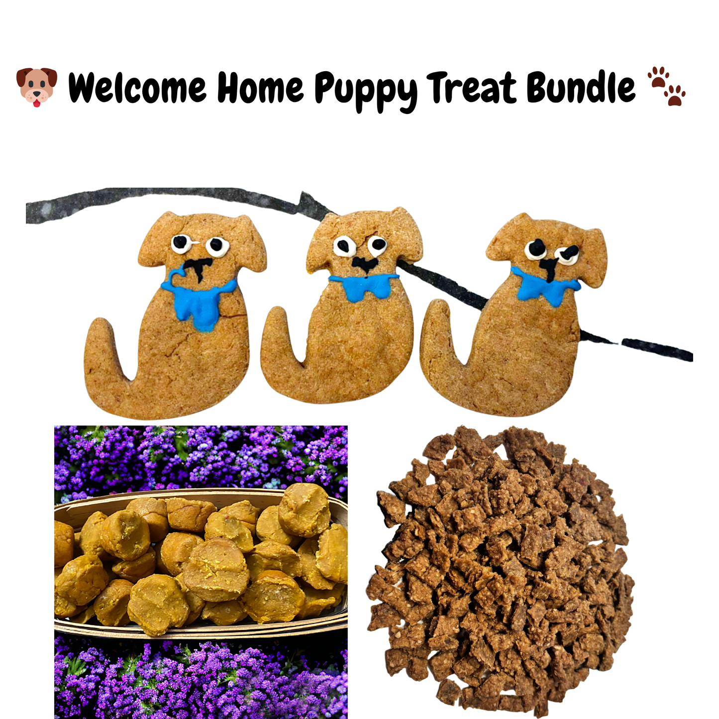 🐶 Welcome Home Puppy Treat Bundle 🐾