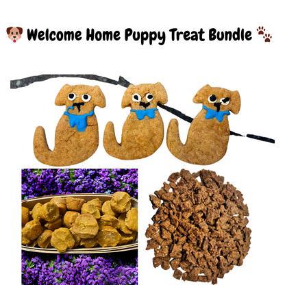 🐶 Welcome Home Puppy Treat Bundle 🐾