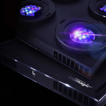 X4 Lighting Bundle