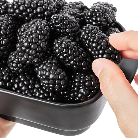 3 Big Daddy Thornless Blackberry Plants – Rubus Hybrid Bare Root Bushes | Large Sweet Berries for Garden, Patio, or Home Orchard