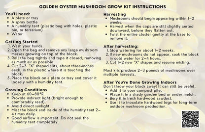 Yellow Oyster Mushroom Grow Kit