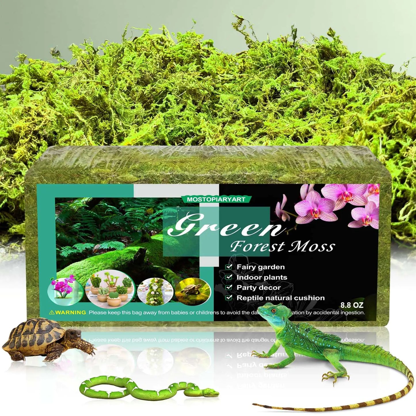 8 8 Oz Sphagnum Moss For Reptiles 30 Quarts Plants And Terrariums Forest Moss Bedding For Leopard Geckos Ball Pythons And More Green 250G