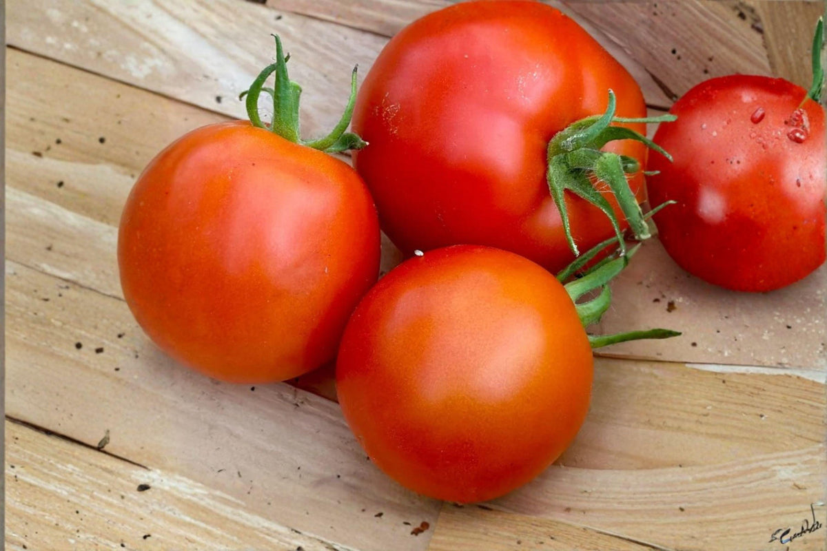 Heirloom Tomato Seeds 100mg, Red Slicer, Disease-Resistant, Non-GMO, Solanum lycopersicum, Vegetable Garden, Salad, Sauce