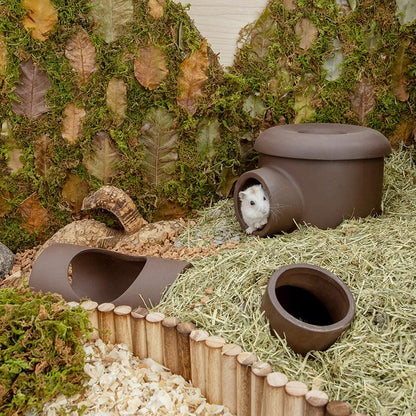 Golden Silk Bear Ceramic Hamster Zisha Tunnel Room - Ultimate Luxury Hamster Habitat