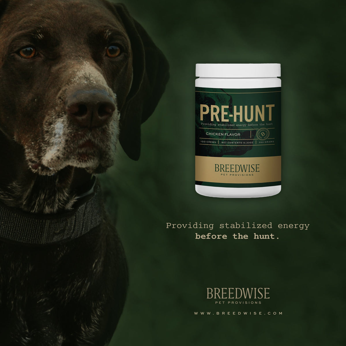 Breedwise Pre & Post-HUNT Soft Dog Chews - Wholesale Bundle (1 case of each)