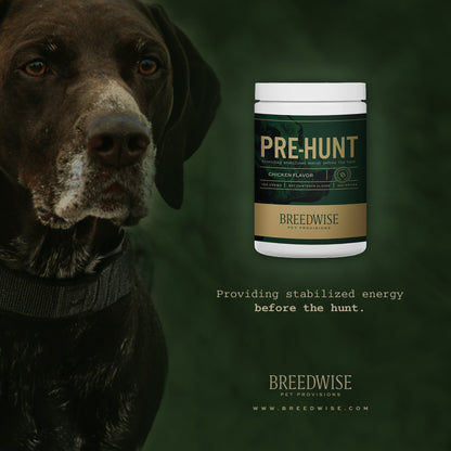 Breedwise Pre & Post-HUNT Soft Dog Chews - Wholesale Bundle (1 case of each)