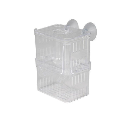 Acrylic Fish Hatchery: A Transparent Sanctuary For Juvenile Fish