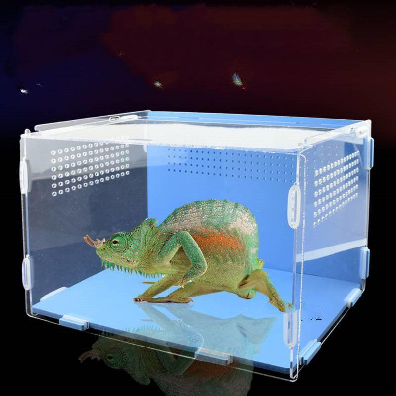 Acrylic Reptile Feeding Habitat - Transparent Thermal Box