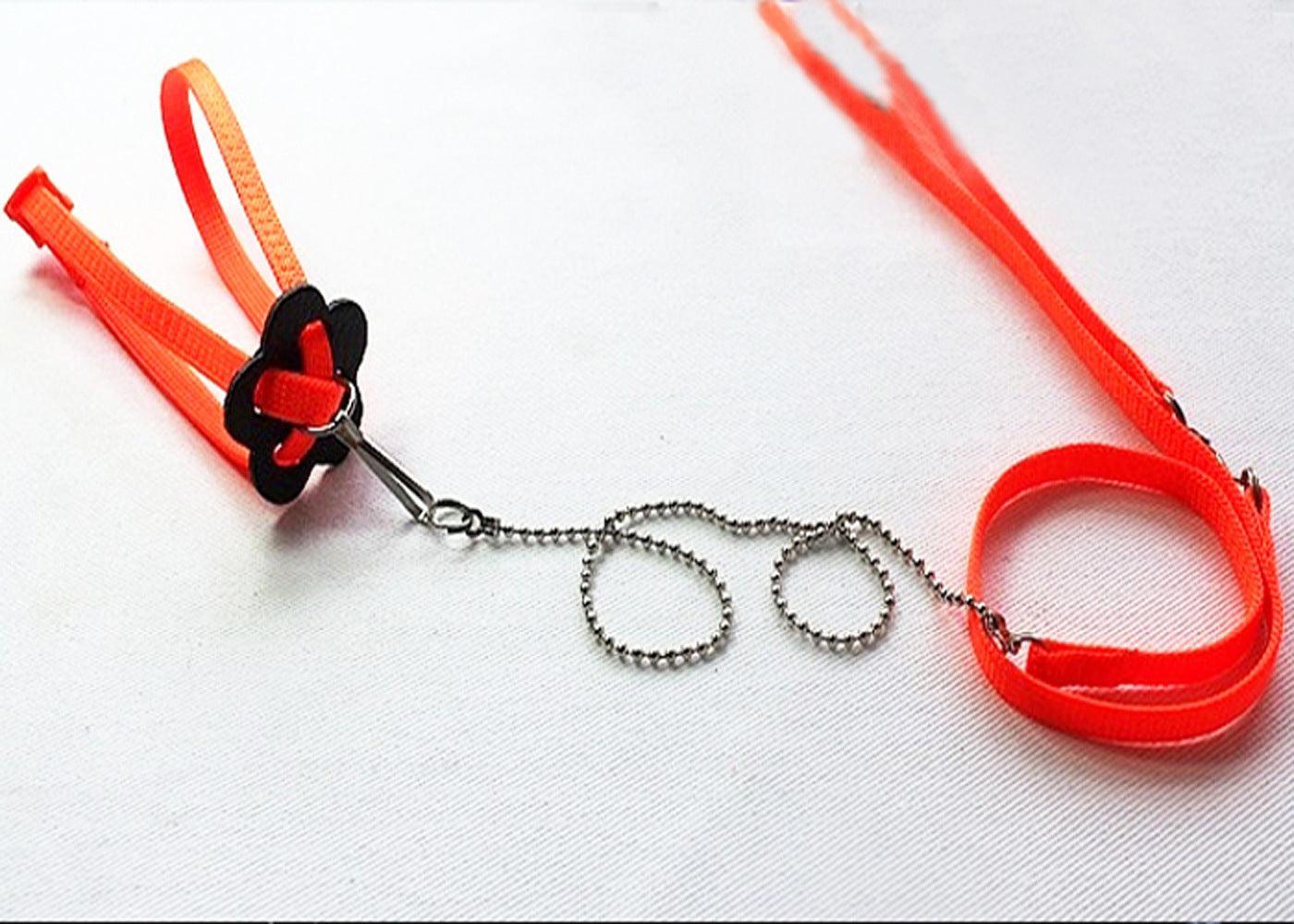 Adjustable Outdoor Lizard Leash - Stylish And Durable Pet Walking Rope