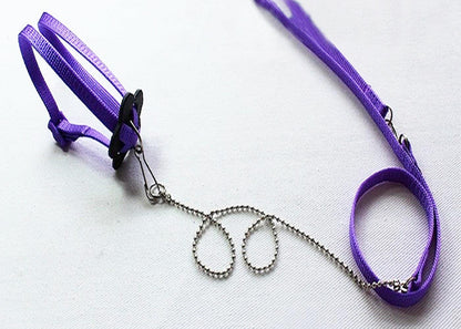 Adjustable Outdoor Lizard Leash - Stylish And Durable Pet Walking Rope