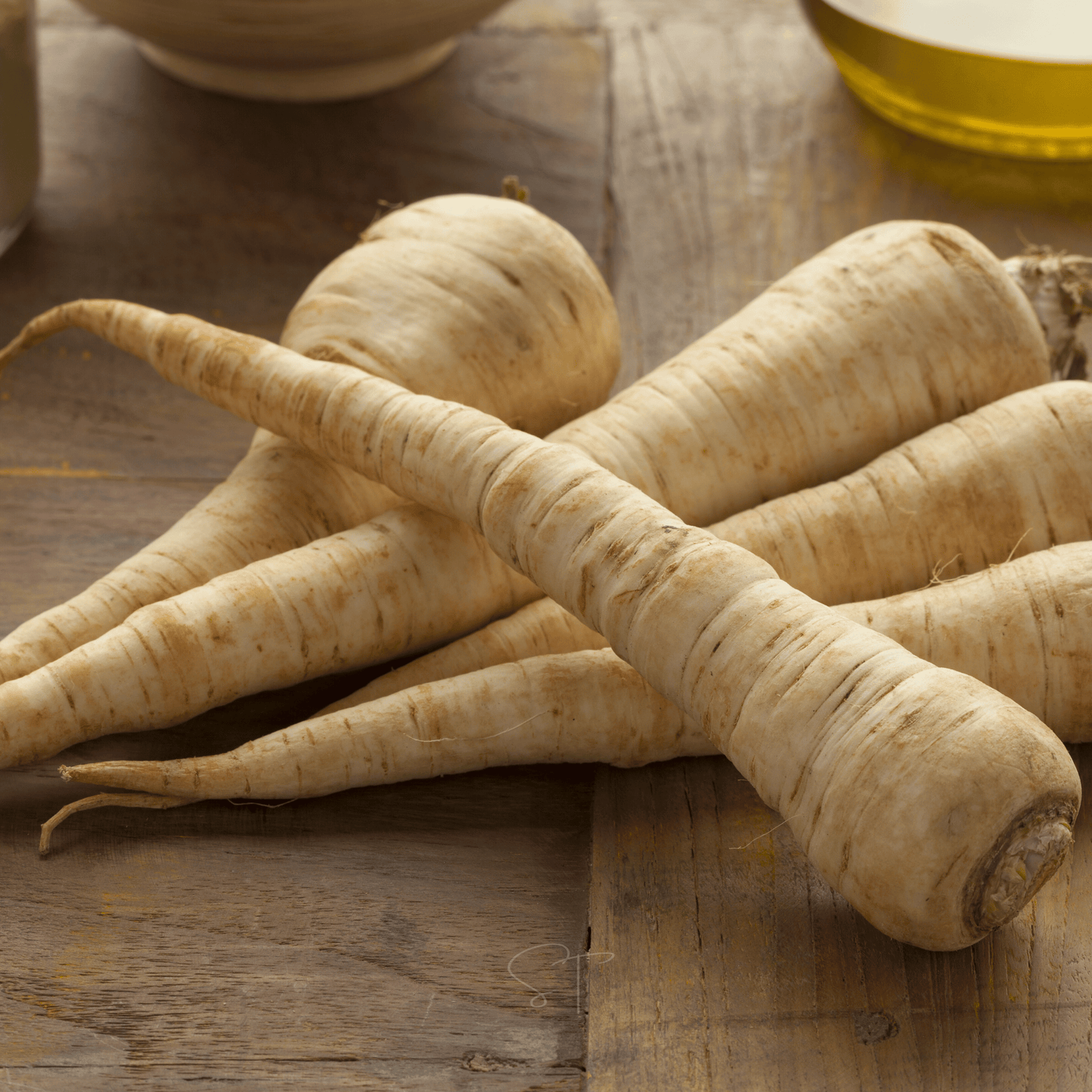 All American Parsnip Seeds – Heirloom, Non-GMO, 100 Seeds, White Root, Nutty Flavor, Cool-Season Vegetable, Pastinaca sativa