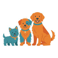 All Dogs