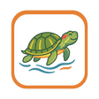 Aquatic Turtle