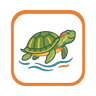 Aquatic Turtle