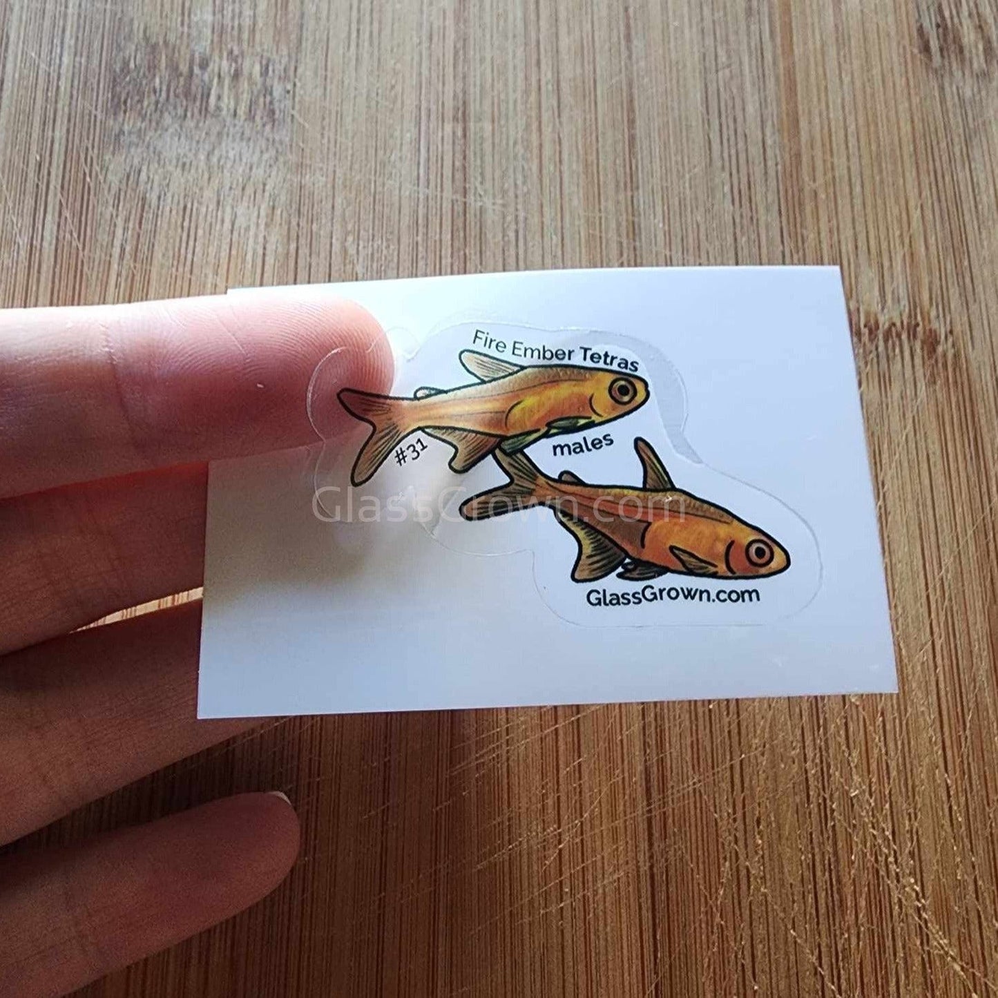Mystery Nano Fish Stickers 5 pack