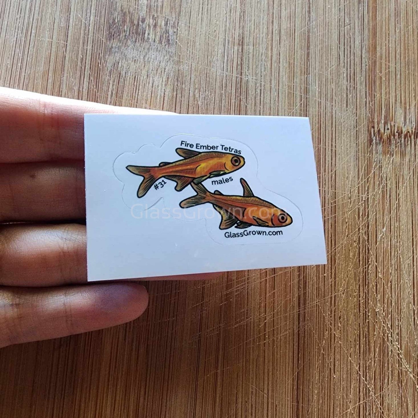 Pick your own nano fish sticker