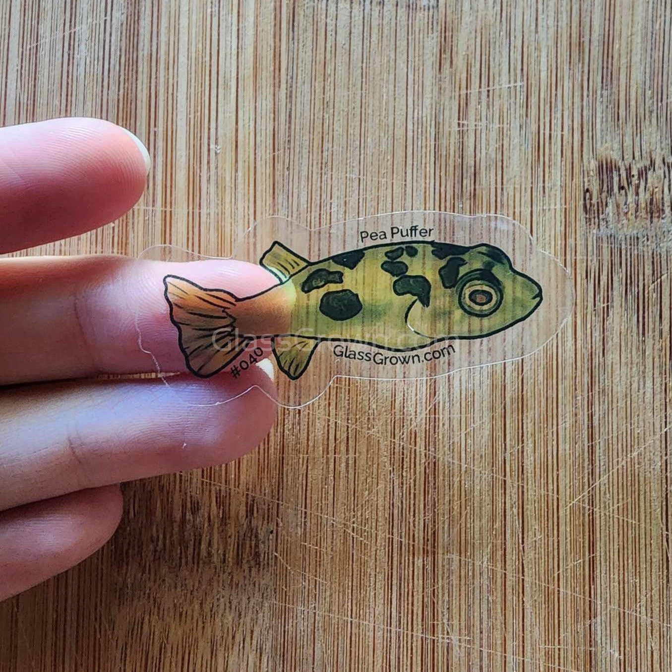 Mystery Nano Fish Stickers 5 pack