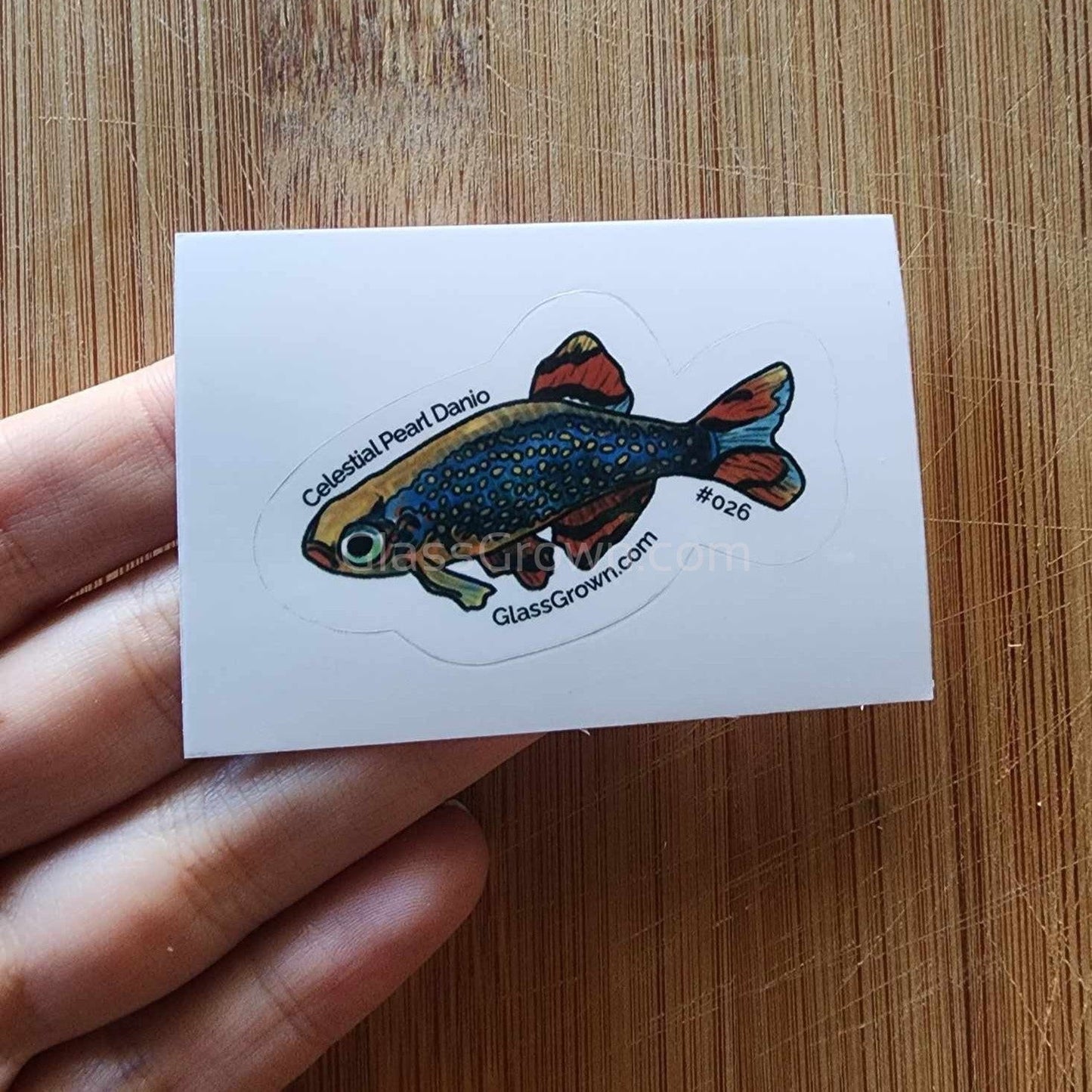 Mystery Nano Fish Stickers 5 pack