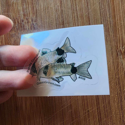 Mystery Nano Fish Stickers 5 pack