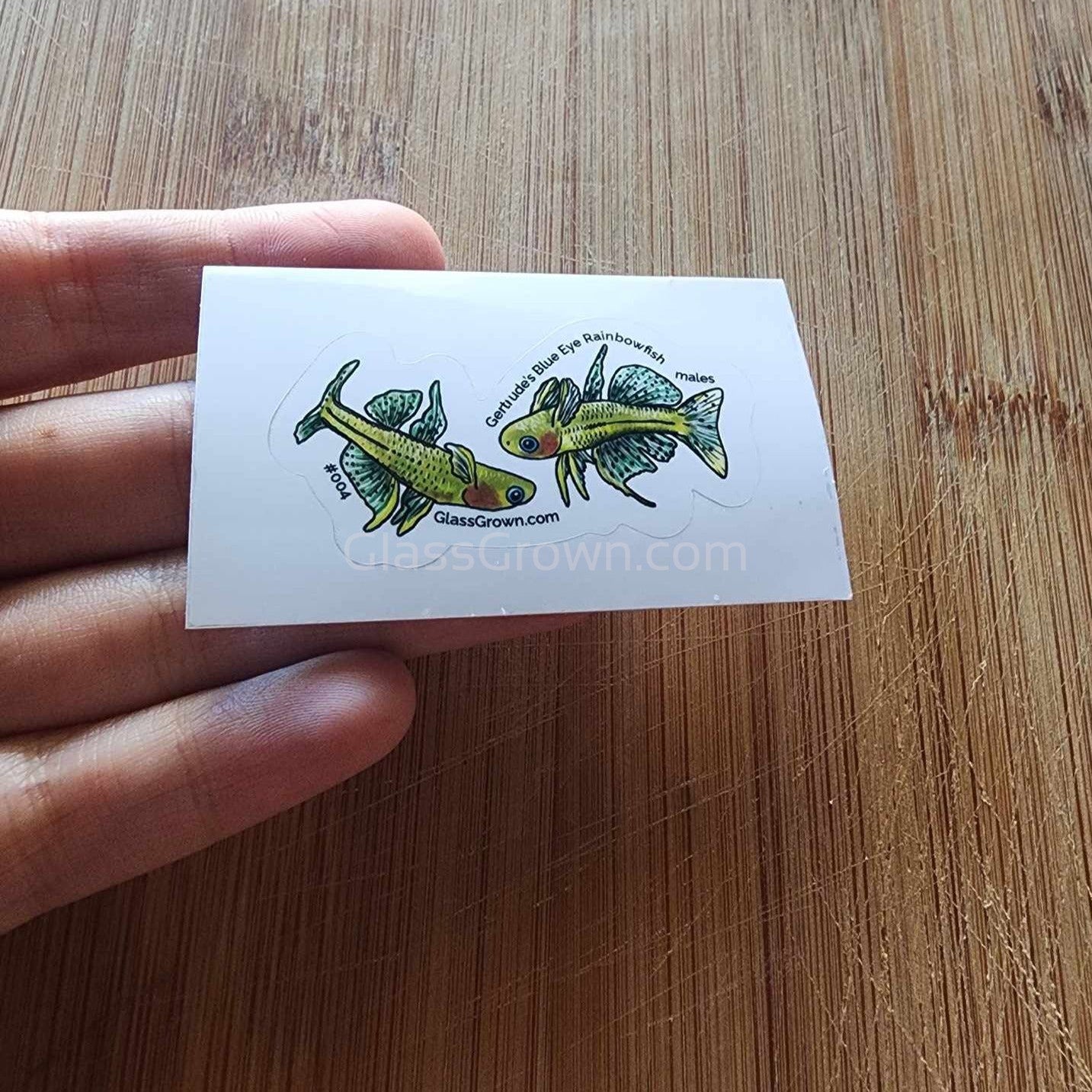 Pick your own nano fish sticker