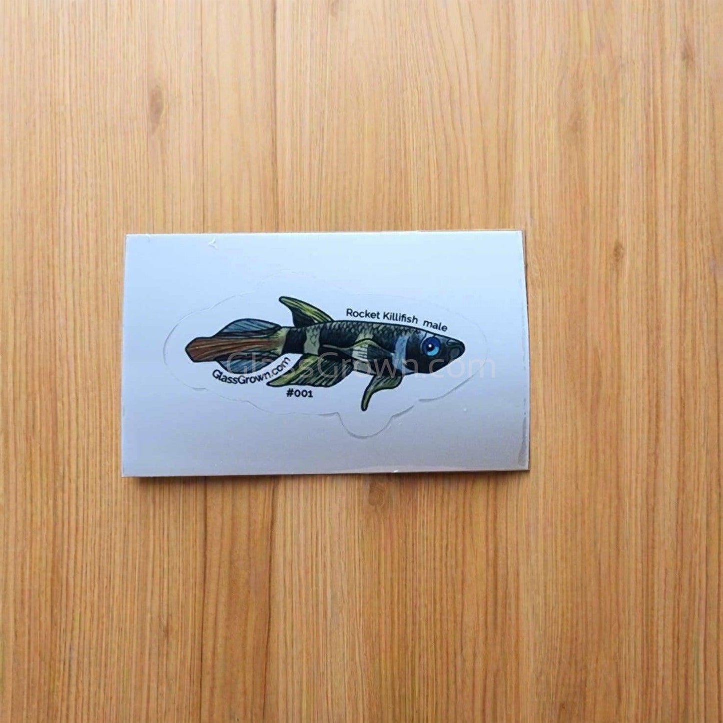 Mystery Nano Fish Stickers 5 pack
