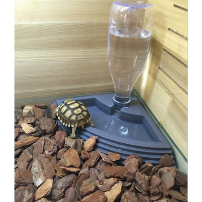 Automatic Reptile Feeding Tray And Drinking Fountain