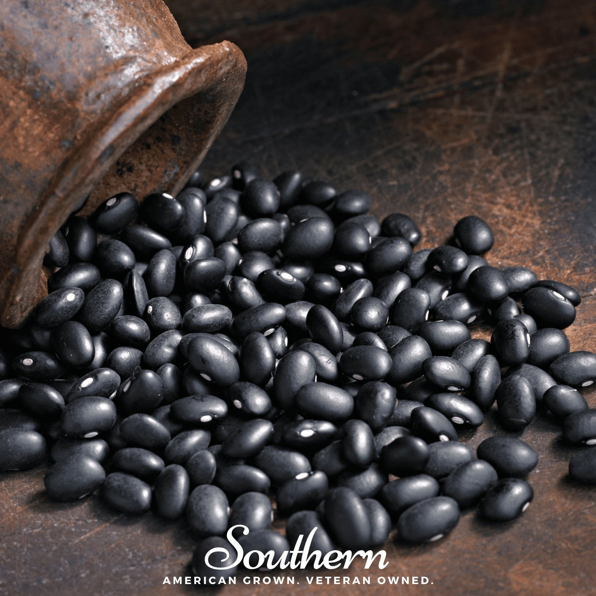 Black Coco Bean Seeds – Dual-Purpose Heirloom Phaseolus vulgaris, Bush Habit, 30 Seeds