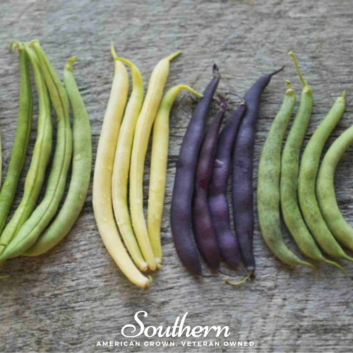 Multicolored Mix Lima Bean (Pole) – 30 Seeds
