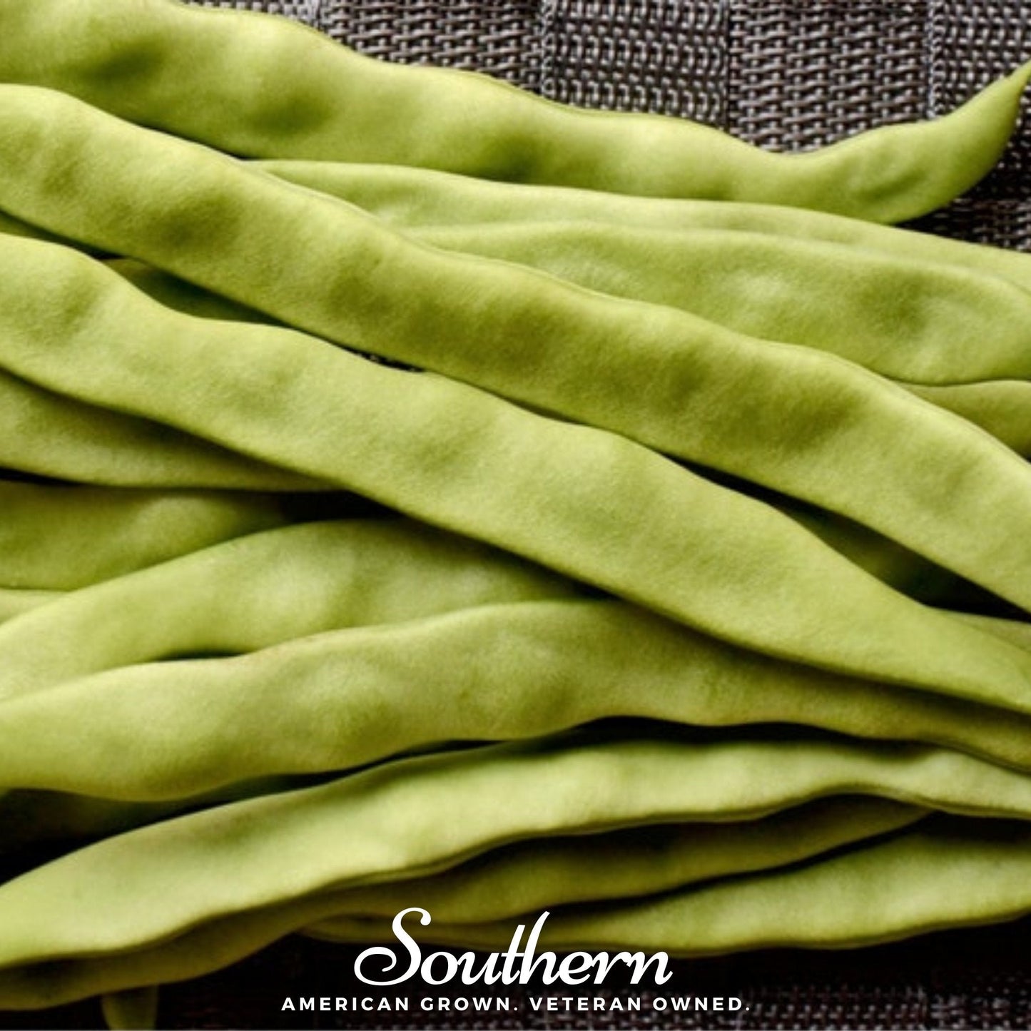 Roma II Bush Bean Seeds – Heirloom, Non-GMO, Open Pollinated, Italian Flat Beans, 30 Seeds