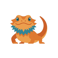 Bearded Dragon