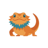 Bearded Dragon
