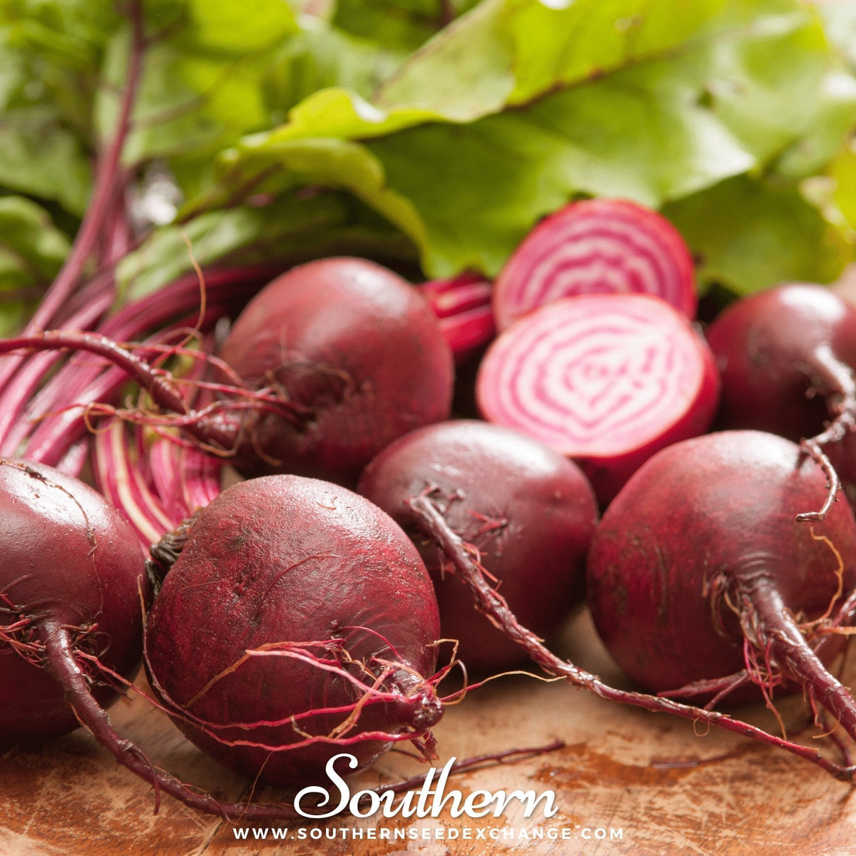 Chioggia Beet Seeds – Heirloom, Candy Cane Striped, Beta vulgaris, 100 Seeds for Salad, Roasting & Greens