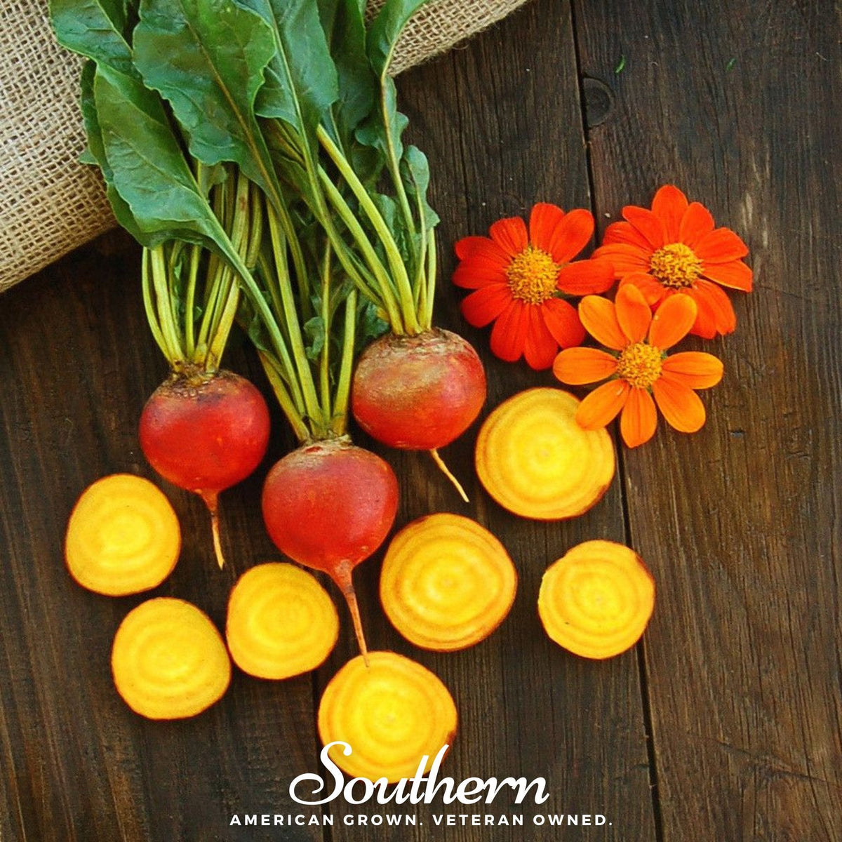 Touchstone Gold Beet Seeds – Heirloom, Non-GMO, Golden-Yellow Roots & Greens, Beta vulgaris, 50 Seeds