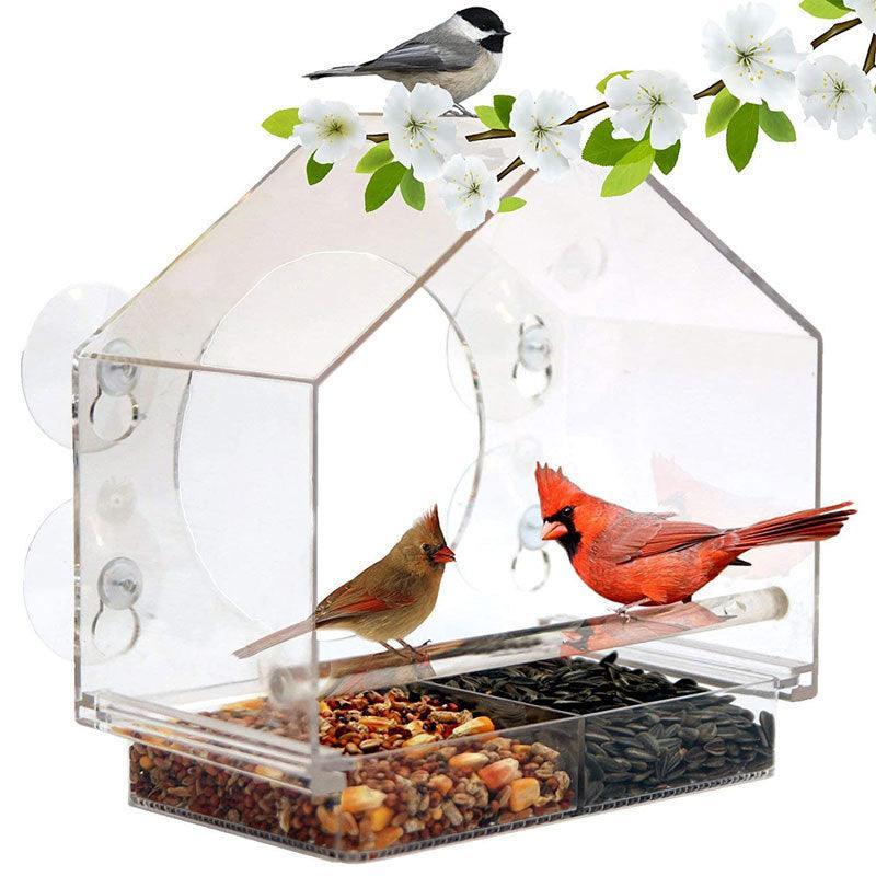 Bird's Eye View: Smart Bird Feeder With Live Camera Feed