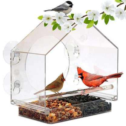 Bird's Eye View: Smart Bird Feeder With Live Camera Feed